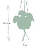 Kokodama Pilea Peperomiodes - Ø15cm - ↕20cm