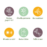Green boutiQ - Bamboe - Fargesia Blue Dragon - Bladhoudend - Niet Woekerend - Groen - 18 Planten - Pot 14cm - Hoogte 35cm
