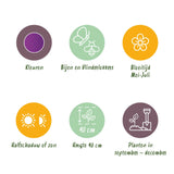 Green boutiQ - Bloembollen - Allium Purple Rain - Kleur Paars - 40 stuks - Bolmaat 10/12