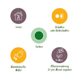 Green BoutiQ - Green is... Kamerplanten - Alocasia Cucullata - Boeddha,s hand - Weinig onderhoud - met mand - Groen - 1 Plant - Pot 17cm - Hoogte 60-65cm