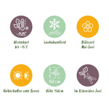 Green boutiQ - Heesters -Ribes sanguineum Kind Edward - Bloem Rood - 1 Plant - Bladverliezend - Weinig Onderhoud - Pot 17cm Hoogte 45cm