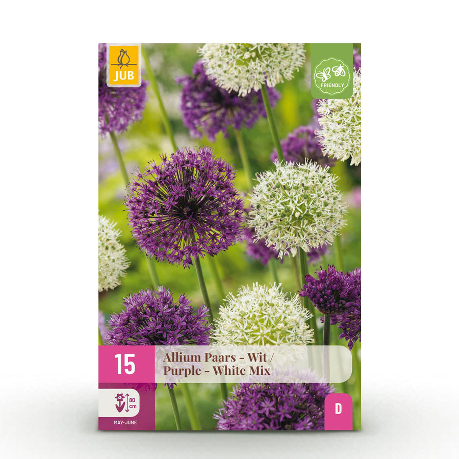 Alliumbollen Purple White Mix — paars en wit, 15 stuks (bolmaat 10/12)
