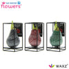 No Water Flowers Waxz Formz Industrial Mix - 3 stuks - Ø7 cm - ↕15 cm