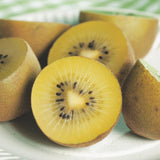 Green boutiQ - Fruitplant - Actinidia deliciosa Golden Kiwi - Kiwiplant - Vrouwelijk - Gele Vrucht - 2 Planten - Pot 15cm - Hoogte 50cm