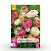 Green boutiQ - Bloembollen - Ranunculus Pastel Mix - Diversen Kleuren - 40 stuks - Bolmaat 5/6 - XXL Pack