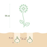 Green boutiQ - Bloembollen - Allium Gladiator - Kleur Paars - 5 stuks - Bolmaat 16/18 - XXL Pack