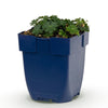 Green boutiQ - Vasteplant - Geranium sang. Max Frei - Ooievaarsbek - Bodembedekkend - Roze - 1 Plant - Pot 11cm - Hoogte 15-25cm