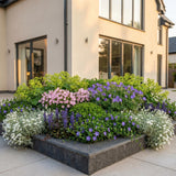 Green boutiQ - Vasteplant - Borderpakket - Bodembedekend - Diversen - Soorten en kleuren - 6 Planten - Pot 11cm - Hoogte 15-25cm