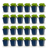 Green boutiQ - Vasteplant - Alchemilla mollis - Vrouwenmantel - Bodembedekkend - Geel - 24 Planten - Pot 11cm - Hoogte 15-25cm