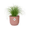 Cyperus Alternifolius Zumula in ELHO Vibes Fold 14cm roze