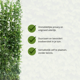 Hedera Hibernica - Klimop - Kant-en-Klaar Haag |↔120cm - ↨180 cm