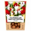 Tulpenbollen Tres Chic mix — rood, geel en wit, 20 stuks (maat 11/12)