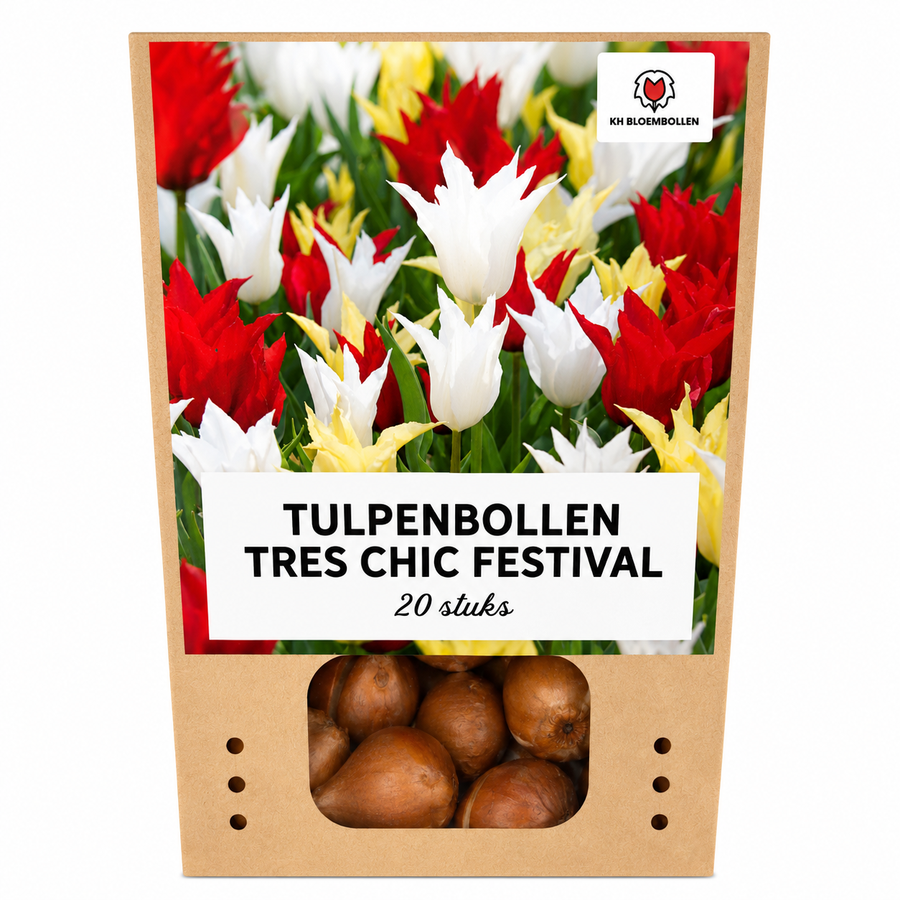 Tulpenbollen Tres Chic mix — rood, geel en wit, 20 stuks (maat 11/12)