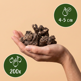 200x Anemone Blanda mix - Griekse anemoon mix - Diversen - Verwilderingsbol - Bolmaat 4/5