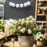 Green boutiQ - Dwerg Rhododendron - Rhododendron Bloombux Light Pink - Bloeiende Buxus - Weinig Onderhoud - Licht Roze Bloem - 6 Planten - Pot 17cm - Hoogte 30-40cm