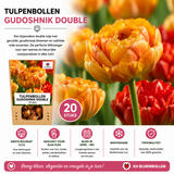 Tulpenbollen Gudoshnik Double — geel-oranje-rood, 20 stuks (maat 11/12)