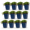 Green boutiQ - Vasteplant - Campanula posch. Stella - Perzikbladklokje - Bodembedekkend - Paars - 12 Planten - Pot 11cm - Hoogte 15-25cm