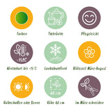 Green boutiQ - Vasteplant - Borderpakket - Theekruiden - Diversen - Soorten en kleuren - 6 Planten - Pot 11cm - Hoogte 15-25cm