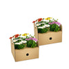 8x Osteospermum Ecklonis Mix Ø12 cm - ↕20 cm