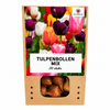 Tulpenbollen gemengd — 20 stuks winterhard (maat 11/12)