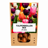 Tulpenbollen gemengd — 20 stuks winterhard (maat 11/12)