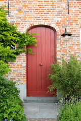 Green boutiQ - Grassen - Fargesia Rufa - Niet Woekerende Bamboe - Bladhoudend - Groen - 1 Plant - Pot 23 cm - Hoogte 80 cm