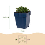 Green boutiQ - Vasteplant - Campanula portenschlagiana - Perzikbladklokje - Bodembedekkend - Roze - 1 Plant - Pot 11cm - Hoogte 15-25cm