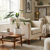 Green boutiQ - Kamerplant - Olifantsoor - Alocasia Zebrina - Groen - Weinig onderhoud - 1 Plant - met Potter Wit - Pot 21 cm - Hoogte 70 - 75cm