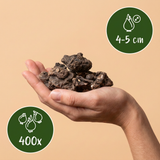 Anemoonknollen Blanda mix — Griekse anemoon gemengd, 400 stuks (maat 4/5)