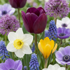 Bollenmix Garden Mix — brede tuinmix, 1000 stuks (maat 10/12)