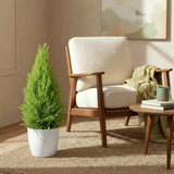 Green BoutiQ - Kamerplanten - Cupressus Gold Crest Wilma - Kamer conifeer - Weinig onderhoud - Groen - 1 Plant - met Potter Wit - Pot 21cm - Hoogte 85-95cm