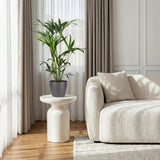 Green boutiQ - Kamerplant - Howea Forsteriana - Kentia Palm - Weinig Onderhoud - Groen - 1 Plant - met Potter Grijs - Pot 19cm - Hoogte 80-85cm