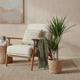 Green BoutiQ - Green is... Kamerplanten - Dracaena Marginata - Drakenbloedboom - Weinig onderhoud - met mand - Groen - 1 Plant - Pot 21cm - Hoogte 90-100cm