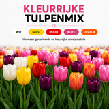 Tulpenbollen mix — 10 zakjes van 20 stuks (maat 11/12)
