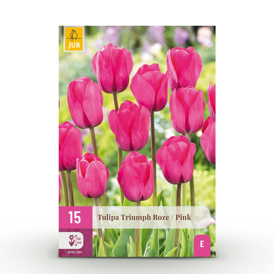 Tulpenbollen Triumph Pink — roze, 15 stuks (bolmaat 11/12)